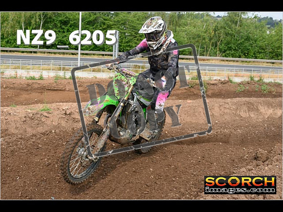 Experts-118