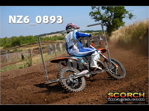 Experts-053