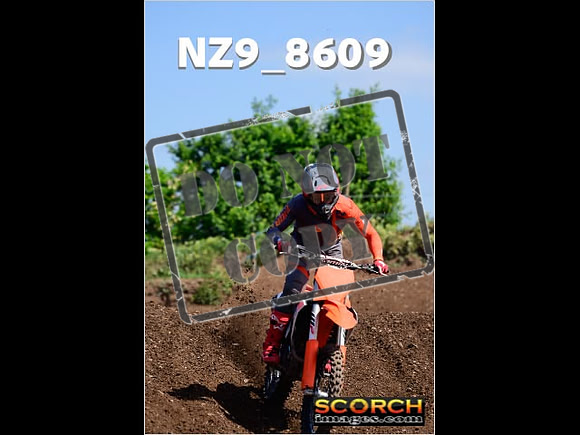 IntersGreenOrange-275
