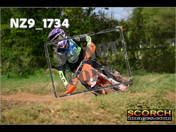 Experts-073