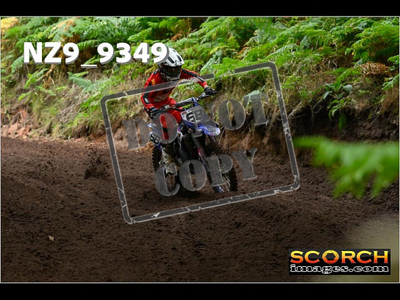85'S-095