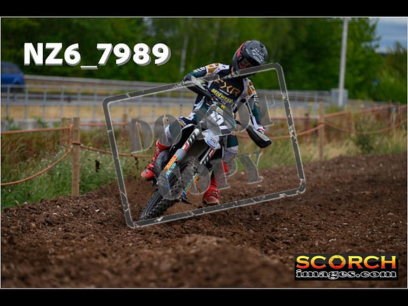 Experts-178
