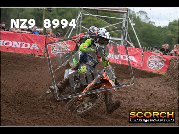 MX2-141