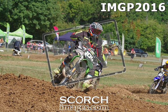IMGP2016