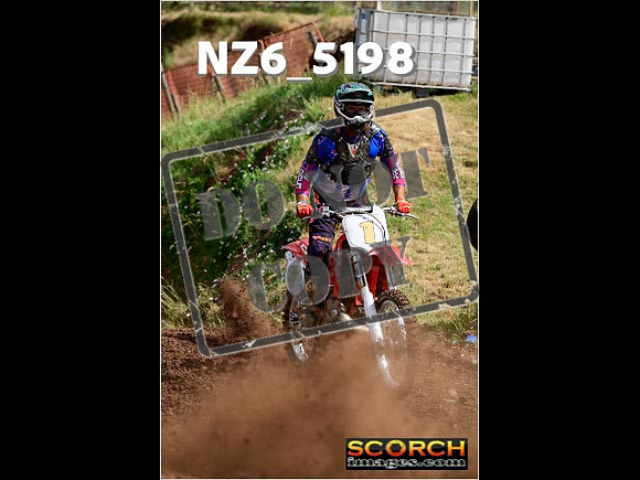Inters Green-043