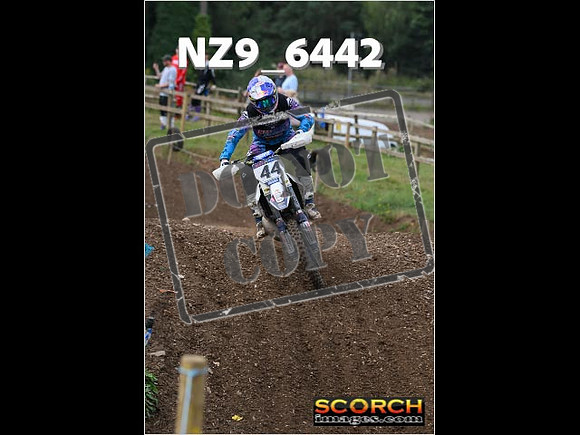 Experts-157