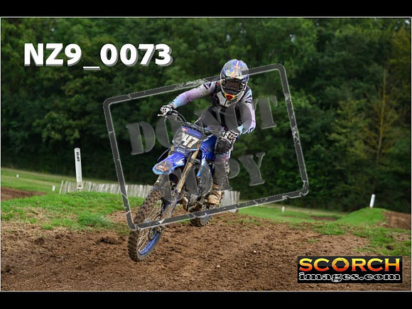 Novice-245