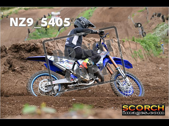Experts-181