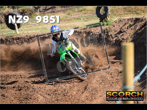 Experts-061
