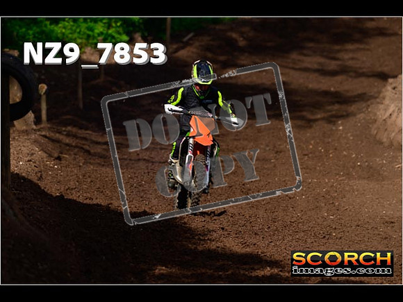 IntersGreenOrange-056