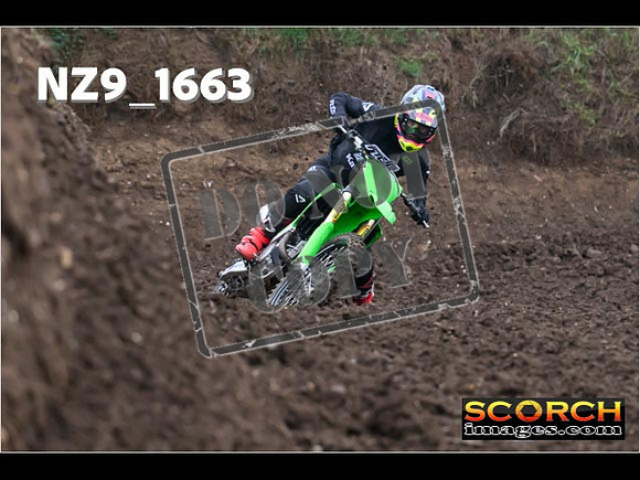 Experts-008