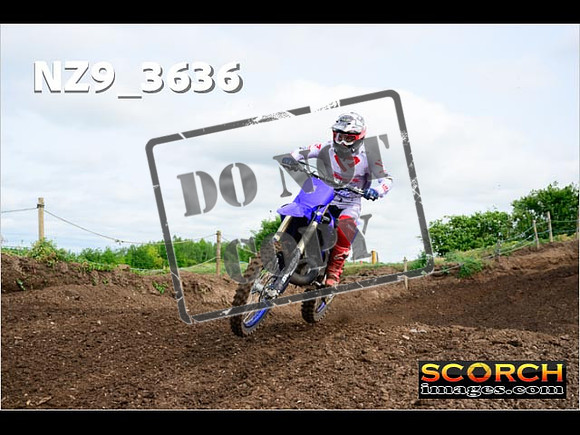 Experts-085