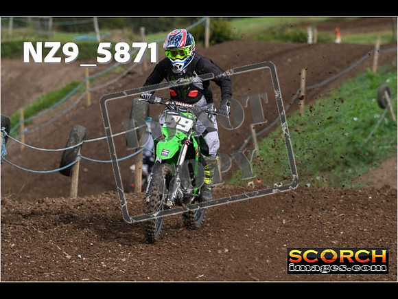 IntersGreen-061