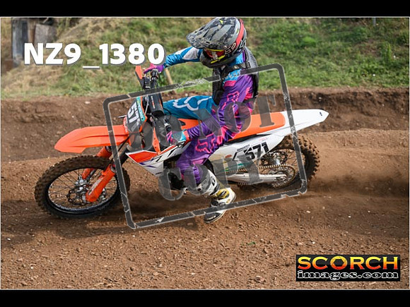 Experts-085