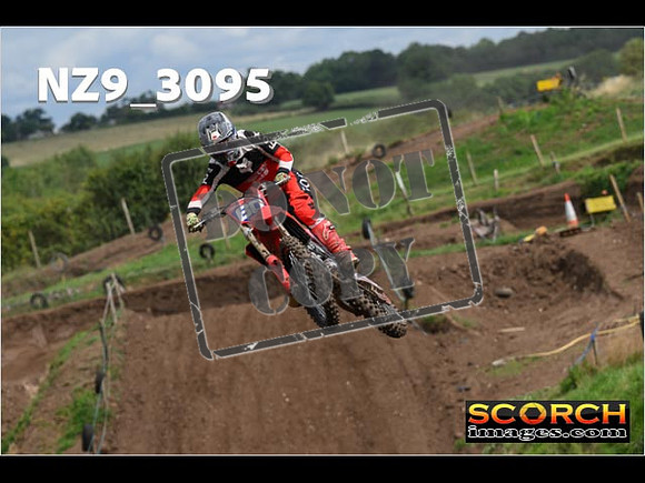 Experts-104