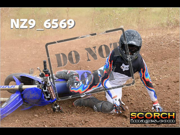 Experts-278