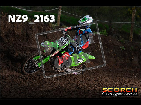 Experts-168