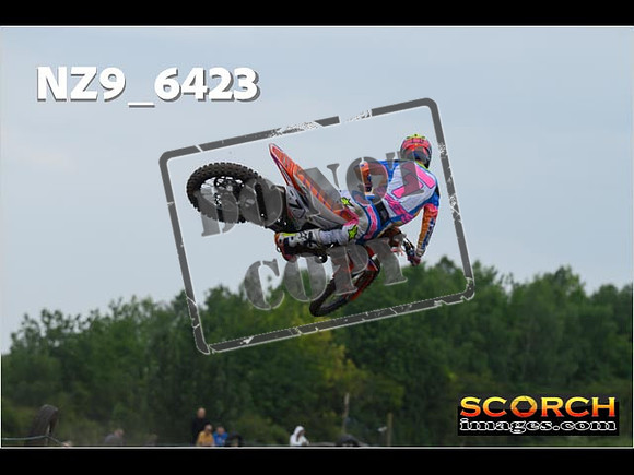 Experts-235
