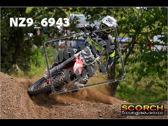 Experts-341