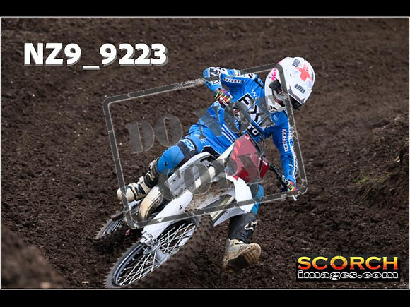 Experts-032