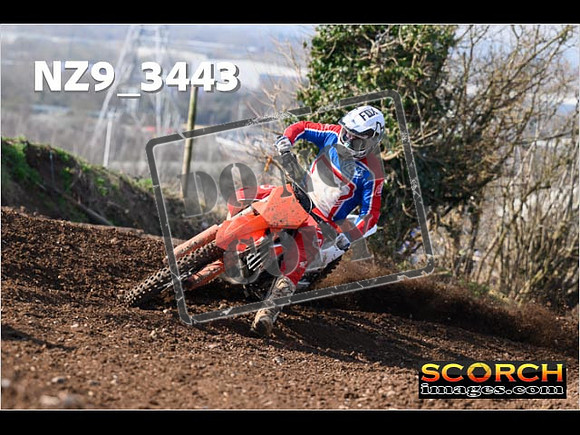Experts-126