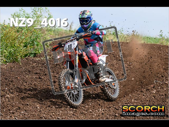Experts-123