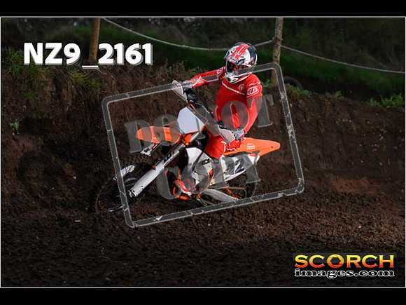 Experts-166