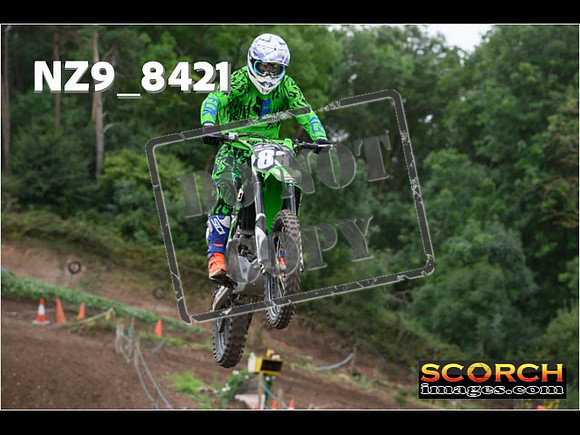 IntersGreen-068