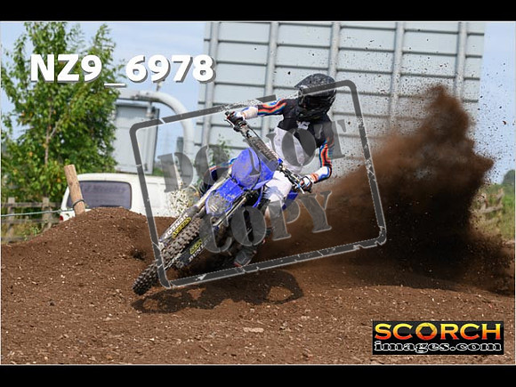 Experts-375
