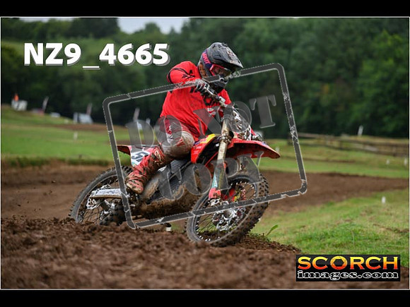 Experts-146