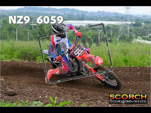 Experts-166