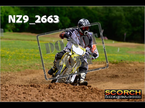 Novice-252