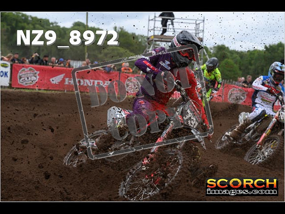 MX2-121