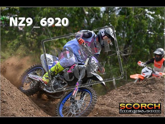 Experts-318
