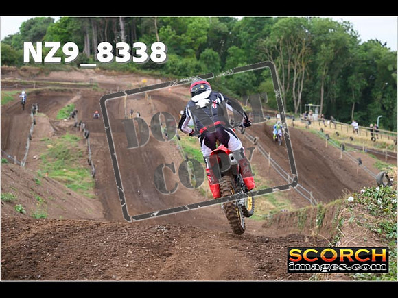 Experts-031