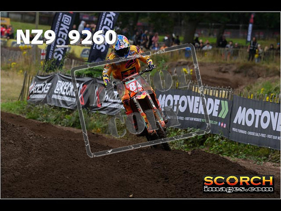MX1-209