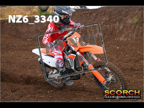 Experts-116