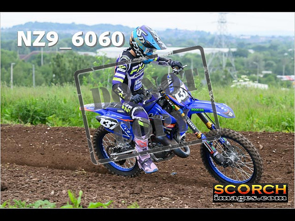 Experts-167