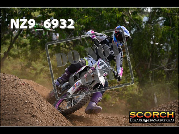 Experts-330