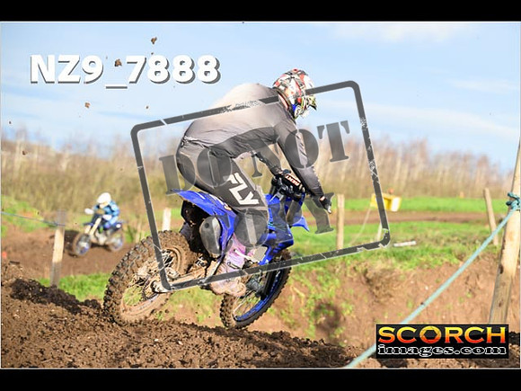 Experts-102