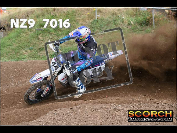 Experts-413