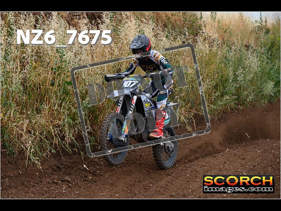 Experts-156