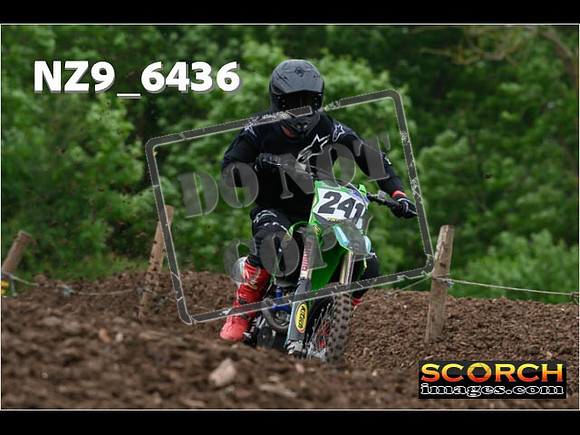 Experts-248