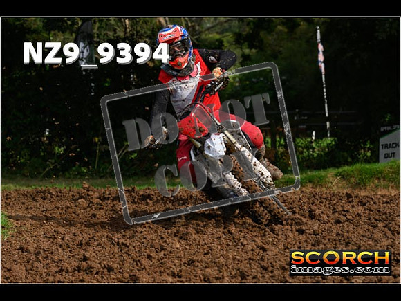 Experts-062