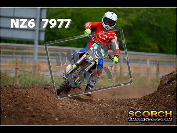 Experts-166