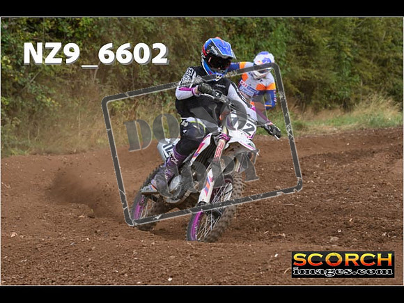 Experts-307