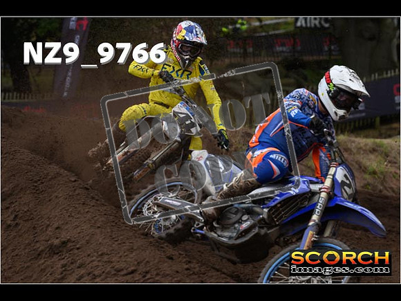 MX1-317