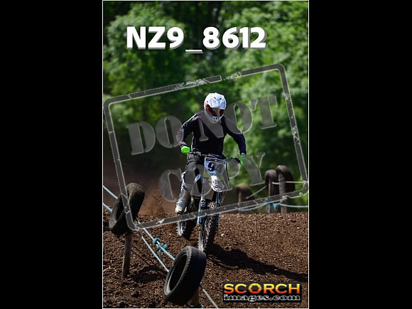IntersGreenOrange-278