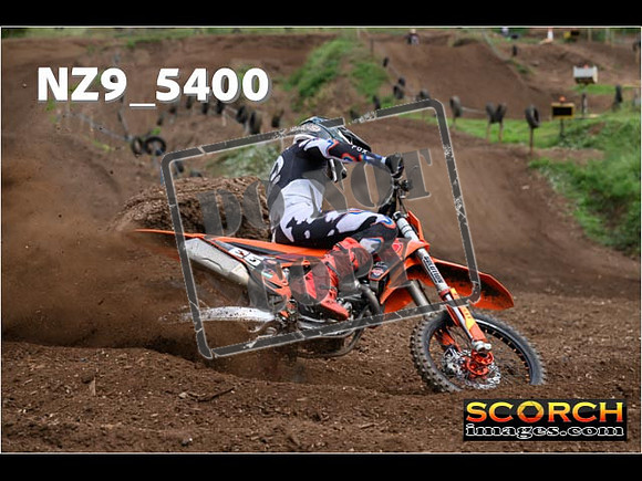 Experts-176