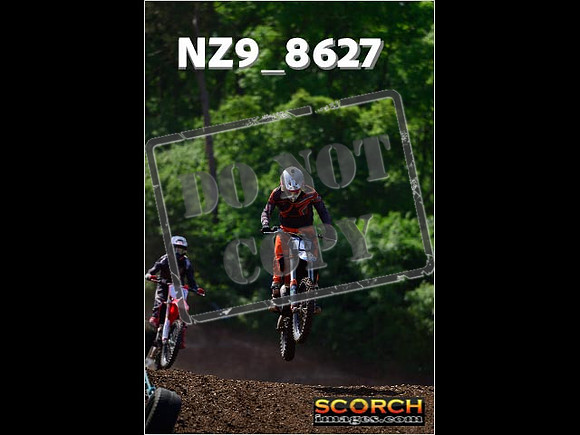 IntersGreenOrange-293